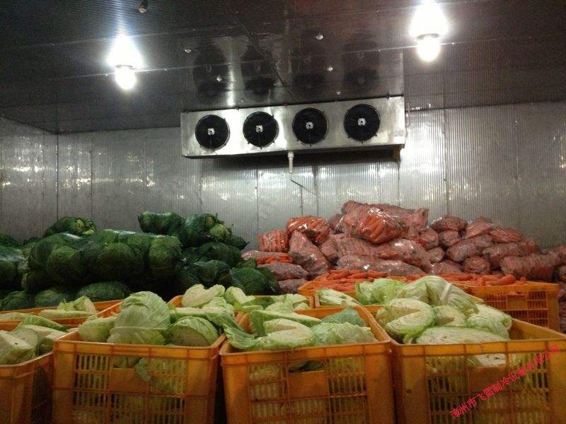 中高温蔬果保鲜库
