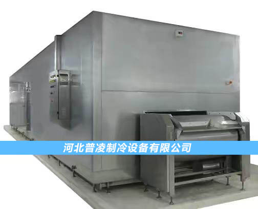 网带速冻机